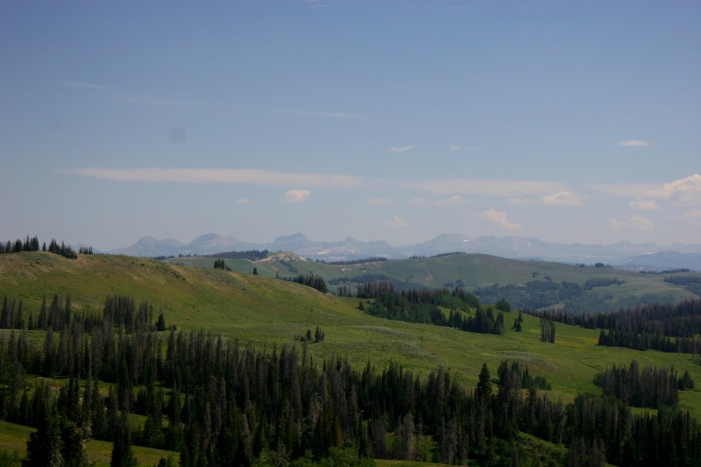 On our way home we took the scenic route up and over  the pass to the west. The view was well worth the bumpy gravel roads.