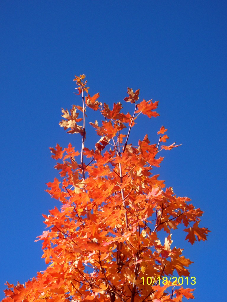 Autumn fireworks