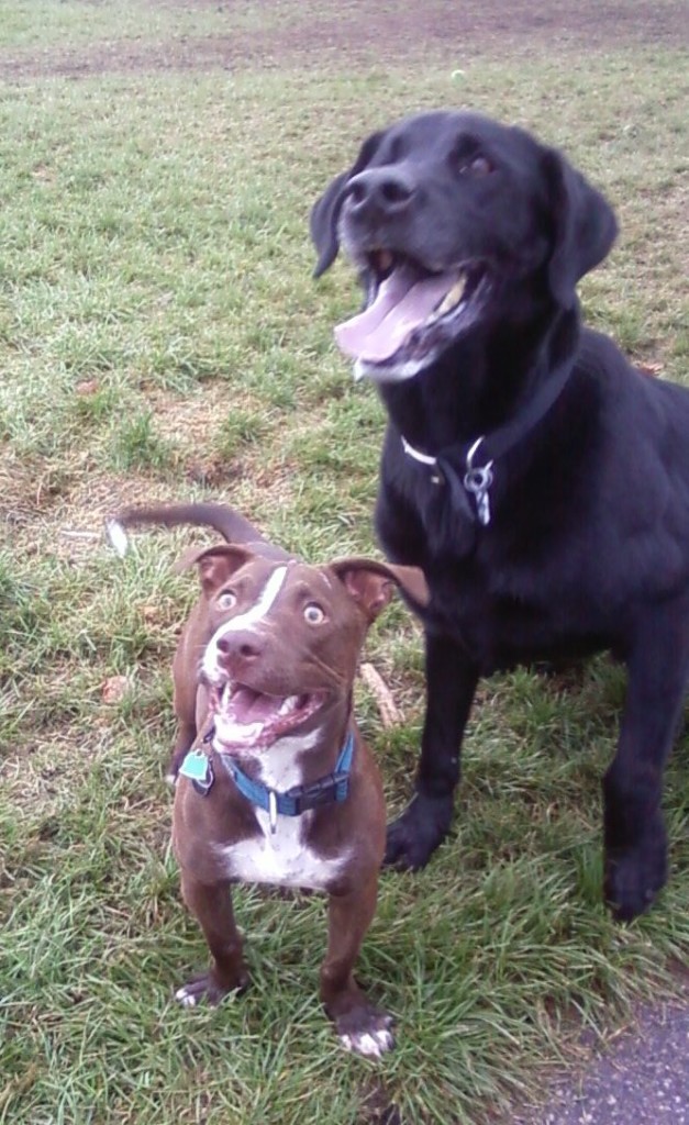 Sam and his new friend Bubba. Bubba is pretty darn fast for a little guy.